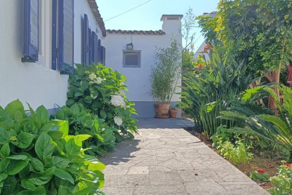 Casa Azores Zen room 2